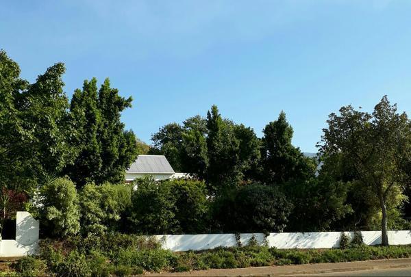 Winterson En Somerkoelte Swellendam Εξωτερικό φωτογραφία